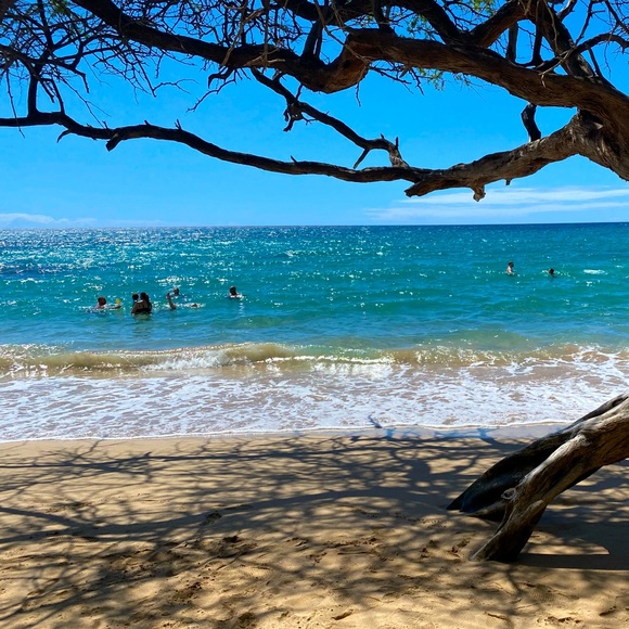 Meet your Posher, Ghani - Picture 1 of 1